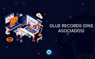 Glue Records (DNS asociados)