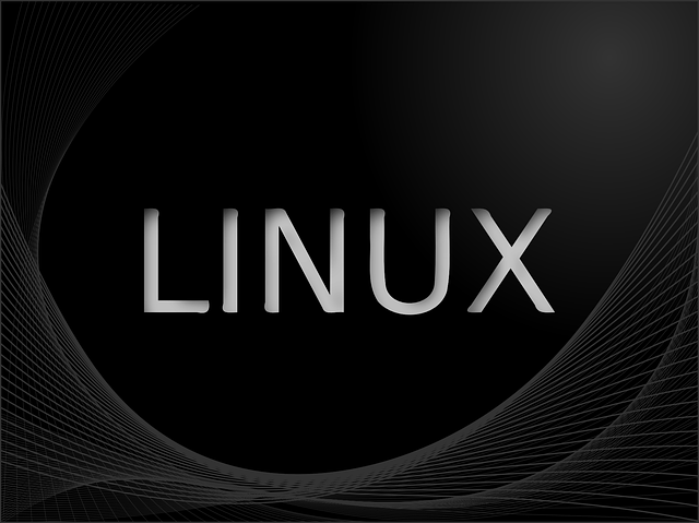 Linux sistema operativo